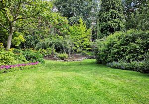 Optimiser l'expérience du jardin à Montbouton